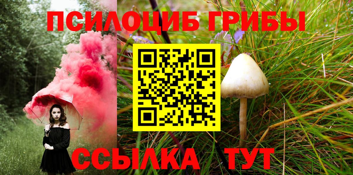 Псилоцибиновые грибы мухоморы  Вход с VPN  Балахна 